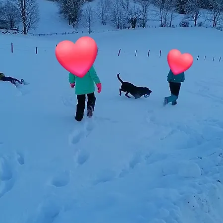 Fuerstauhof * Fürstau