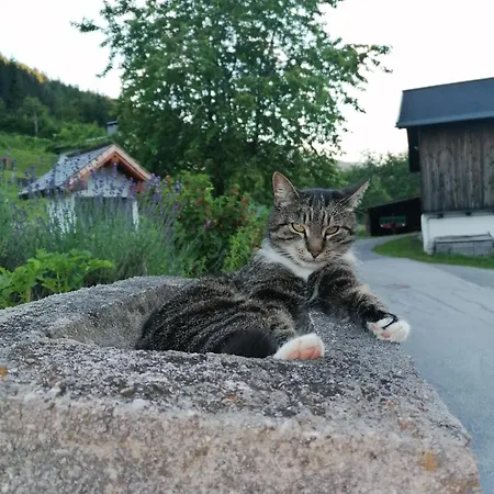 아파트 Fuerstauhof *