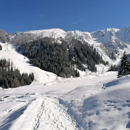 Fuerstauhof شقة فورستاو