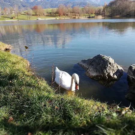 아파트 Fuerstauhof *