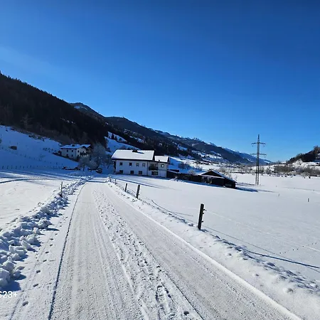 公寓 Fuerstauhof *