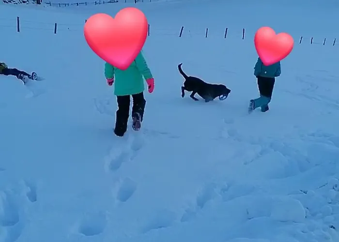 Fuerstauhof * Fürstau