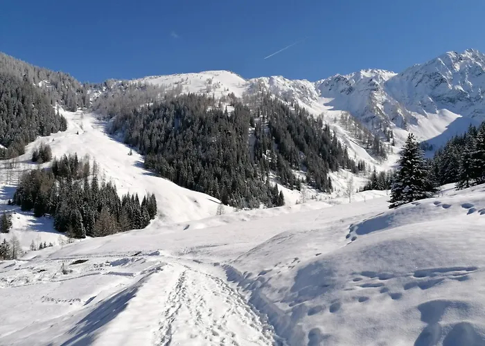 Fuerstauhof Lägenhet Fürstau