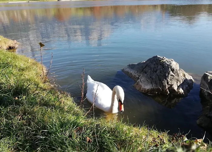 Lägenhet Fuerstauhof *